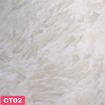 Tấm nhựa ốp tường CT02